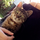 Avatar for Skaiste M