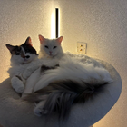 Profilbild für Priska D