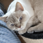 Profilbild für Anja S