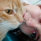 Profilbild für Daniela G