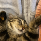 Avatar for Martina D