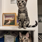 Profilbild für Leoni Elisa L