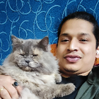 Avatar for Ankit R