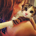 Profielfoto voor Michele (Meeshka) P