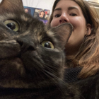 Profilbild für Natalie D