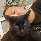 Profilbild für Pakize E