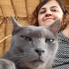Profilbild für Shery S