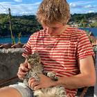 Profilbild für Gustav M