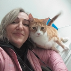 Profilbild für Lana H