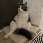 Profilbild für Yi M
