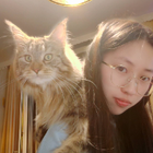 Profilbild für Yue Z