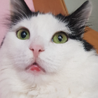 Profilbild für Patricia K
