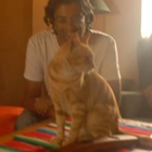 Avatar for Raj A
