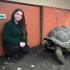 Avatar for Jade Louise B