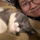 Profilbild für Weizi Q