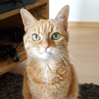 Profilbild für Mausi M