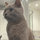 Avatar for Mariyah H