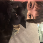 Profilbild für Amelie S