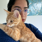 Profilbild für Heba A