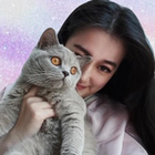 Avatar for Qinhe Y