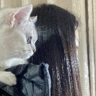 Profilbild für Weiyin W
