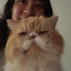 Profielfoto voor Jasmine R