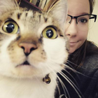 Profilbild für Natalie H