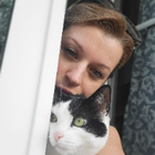 Profilbild für Alona D
