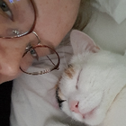 Profilbild für Pia K