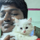 Avatar for Avinash (Ragul) V