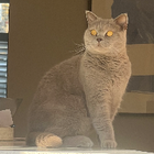 Avatar for Elizabeth G