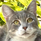 Avatar for Samantha W