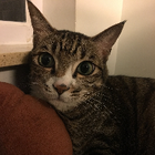 Profilbild für CY I