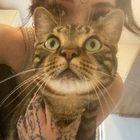 Avatar pour Léonie D