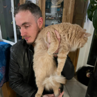 Avatar pour Jérôme L