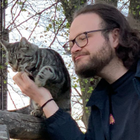 Profilbild für Alfio P