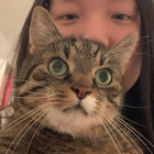 Profilbild für Lu L