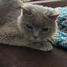 Profielfoto voor Lissa j