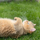 Profielfoto voor Edanur G