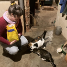 Profilbild für Bettina S