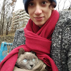 Profilbild für Konni K