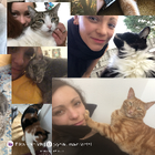 Profilbild für Elisch H