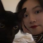 Profielfoto voor Yiqing C