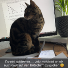 Profilbild für Lea R