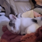 Avatar pour Blandine N