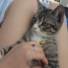 Profilbild für Sandra S