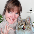 Profilbild für Kirsten S