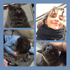 Profilbild für Nova N