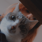 Avatar pour Alyssa L