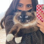 Profilbild für Dalia F